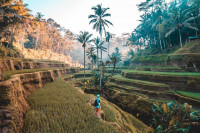 Top hiking and walking trails to discover in Bali in 2020