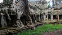 Why You Should Visit Cambodia Once In Your Life
