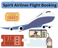How to Manage Your Spirit Airlines Booking?